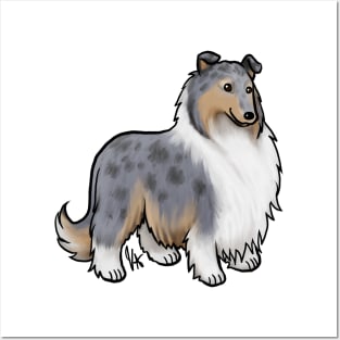 Dog - Rough Collie - Blue Merle Posters and Art